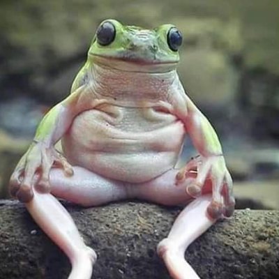 MoldSniffer's profile picture. Recovering NEET
Not looking to become a vtuber or whatever so please don't try to sell me shit slur