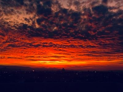 balam_alam16323's profile picture. 