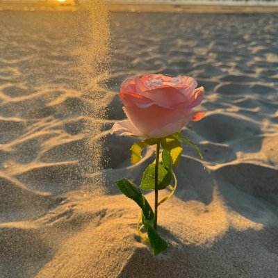 AnushkaRaj87258's profile picture. 