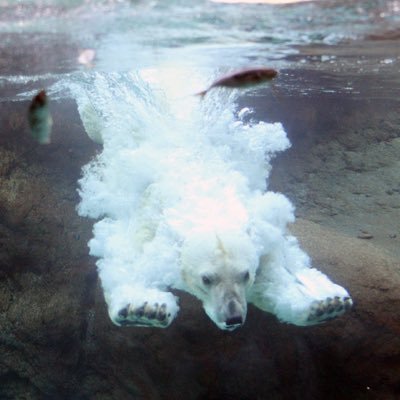 imnotsharif's profile picture. 