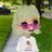 crypticaudioSOL's profile image
