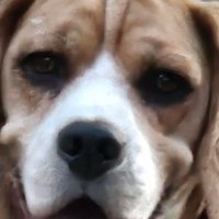 Mike Walk (@mikewalk519638) 's Twitter Profile Photo