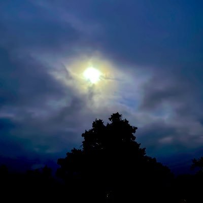 Time to let go~~~Sunset heart burning with passion and setting my world on fire. My soul alights with the colors of desire. Watch me soar...