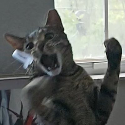 LindseyJSylvia's profile picture. 🇺🇸