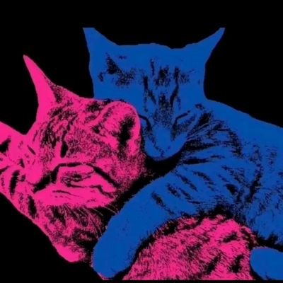 Lilygirl0123's profile picture. 