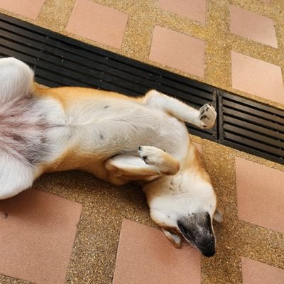 XYZ8489's profile picture. 