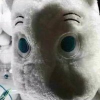 PRECIOUS NOURISHMENT (@prcisnrshmnt) 's Twitter Profile Photo PRECIOUS NOURISHMENT (@prcisnrshmnt) 's Twitter Profile Photo