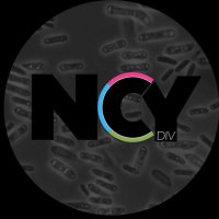 NCYdiversity (@ncydiversity) 's Twitter Profile Photo NCYdiversity (@ncydiversity) 's Twitter Profile Photo