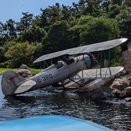 addacid244645's profile picture. 《雑多》WW/ENA/ODD/