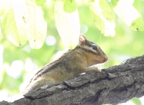 zasz1000's profile picture. 다들 안녕하세요^^!!