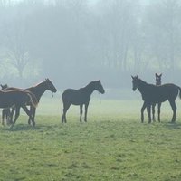 Jérôme Devilder (@jdevilder) 's Twitter Profile