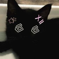 kibou (@b1gkibble) 's Twitter Profile