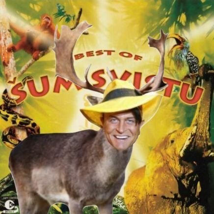 Kytovecek's profile picture. 