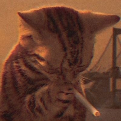 _kamunuguya's profile picture. 