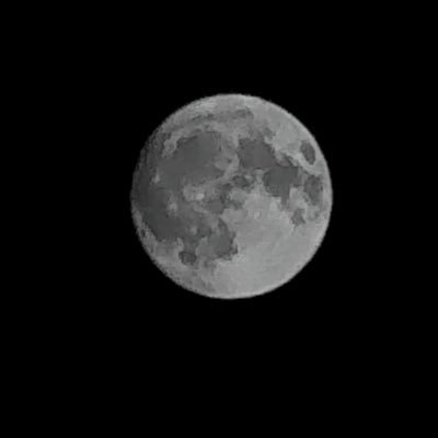 1dayyoumay's profile picture. 