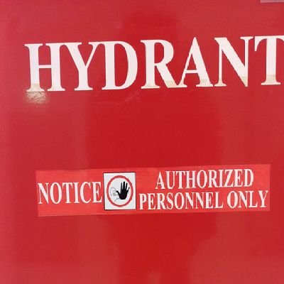 winSunah's profile picture. 