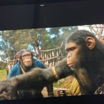 annn_ape's profile picture. akun mengumpat