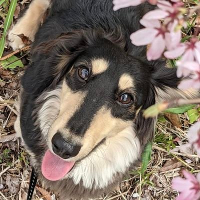 Katsue1094113's profile picture. 