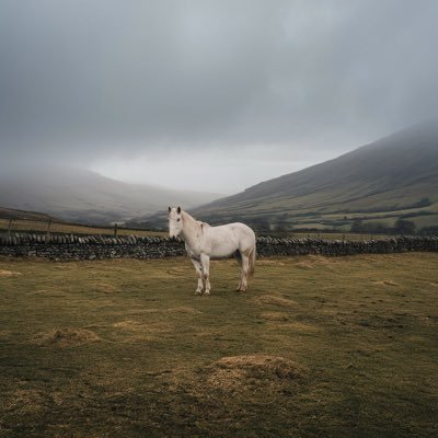 JohnJackWithers's profile picture. 