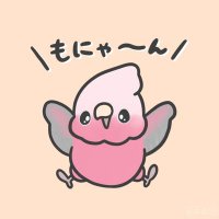 CAOLILA (@caolila84890197) 's Twitter Profile
