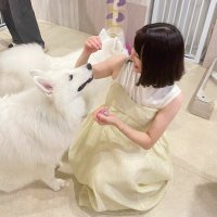 橋本ちなみ (@chinami_hsmt) 's Twitter Profile