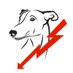 Complete Pete (@greyhoundpete) Twitter profile photo Complete Pete (@greyhoundpete) Twitter profile photo