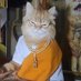 0xBuddha (@0xbuddhax0) Twitter profile photo 0xBuddha (@0xbuddhax0) Twitter profile photo
