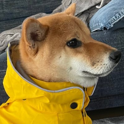 xnni136832's profile picture. 