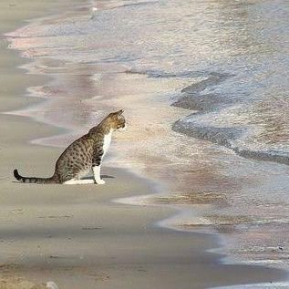 rivedeye's profile picture. me but EVIL:
lalalalaa i can’t hear you
ic: me |
req: 👍 i draw. may not let u in |
main: 🤫