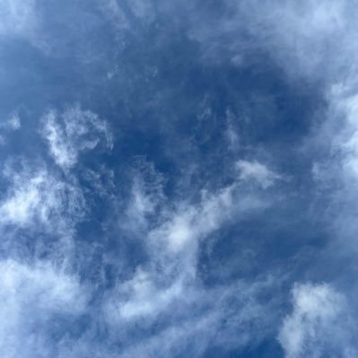 【利用規約に従い、スパムツイートは一切しません。また動画のツイートはX社が規定する引用元を明記したツイートをしています。】