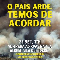 Floresta do Futuro (@florestaefuturo) 's Twitter Profile Photo