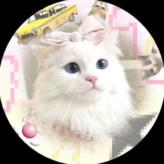 arrahif_'s profile picture. part of @arrahif ||
payment via qris (bisa dari bank/ewallet) || menerima banyak jasa, wa aja