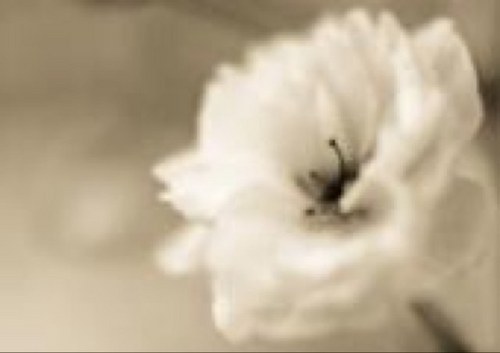 Firstly1st's profile picture. اللهم إنك عفو تحب العفو فاعفو عني