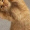 cheyenne stone - @haleyannchey - Twitter