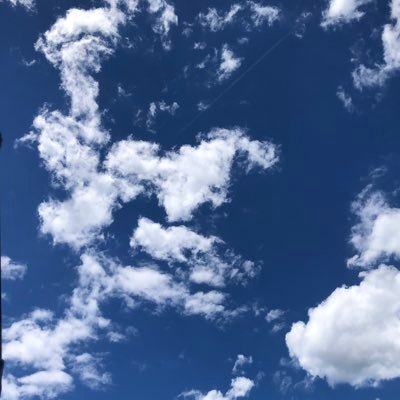 oksさんのプロフィール画像