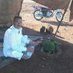 أحمد الحجي (@aalhjy3986) Twitter profile photo أحمد الحجي (@aalhjy3986) Twitter profile photo