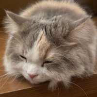 みきや@サブ (@__mky__mky) 's Twitter Profile Photo みきや@サブ (@__mky__mky) 's Twitter Profile Photo
