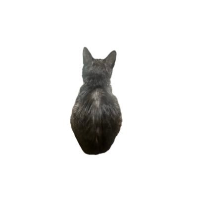 28bababa's profile picture. 新しい学校のリーダーズ好き🏫 そしてねこ好き🐈‍⬛ 【Instagram】 https://t.co/Vz0iLuNDYS