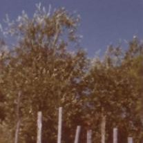 LukePortAlemao's profile picture. "No peito dos desafinados, também bate um coração".
-
AgScience-specialist, here I try to learn/improve Portuguese & Deutsch by chatting about farming, linux,..