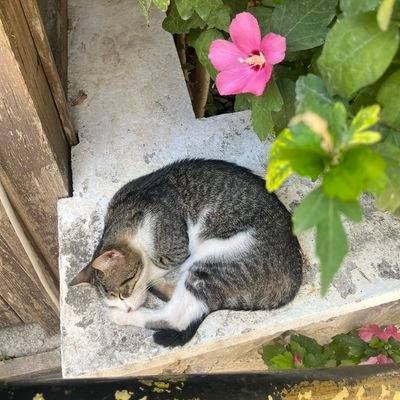 mtl116663's profile picture. 