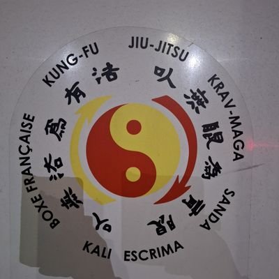 SaroneSifu's profile picture. 