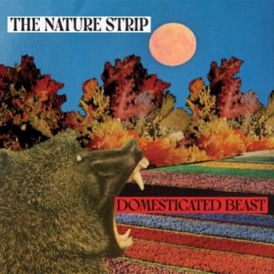 New album 'Domesticated Beast” out now. Four peace guitaring & singing from Sydney.