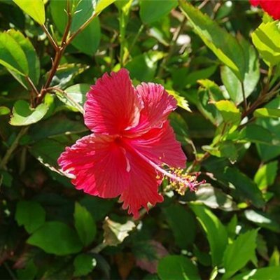 副業の成功法を紹介中。副業を始めてみたい人にお得な情報を発信。小規模ですが現金配布企画もしています♪ 支援中▶ https://t.co/tPXSXj0KZg