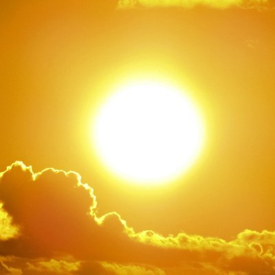 still91233945's profile picture.