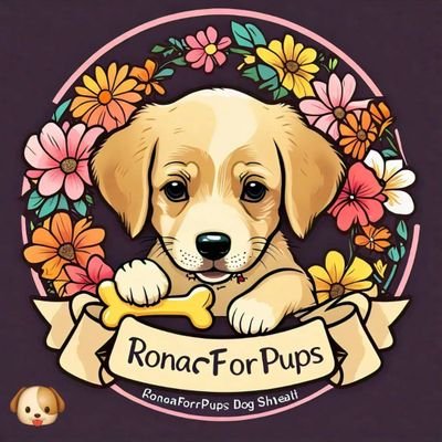 FOSTER &RESCUES & ADOPTERS NEEDED
Networking euthanasia listed dog & dogs in need
#adoptdontshop 🐶🐾
Vegan for the animals 🐶🦈🐷🐓
