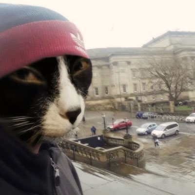 Hyperflow__'s profile picture. 