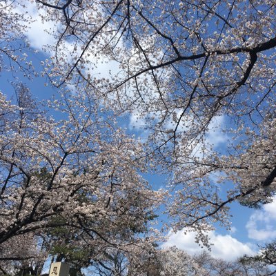 engawa83's profile picture. 自民党員やめたいな🥲