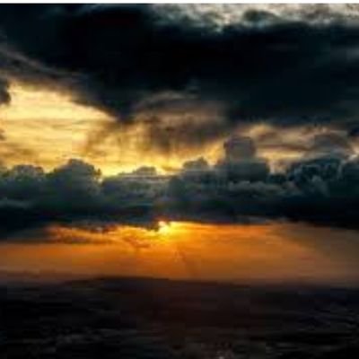 verbasaovento's profile picture.