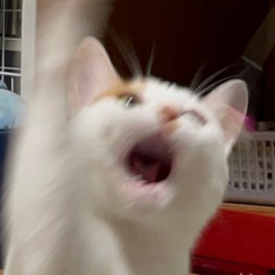 Kazさんのプロフィール画像