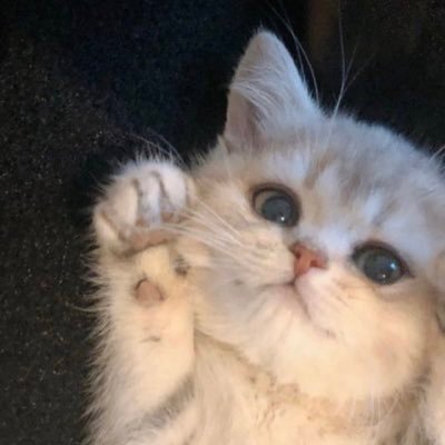 haemlngway's profile picture. 한번 더 나에게 질풍같은 용기를